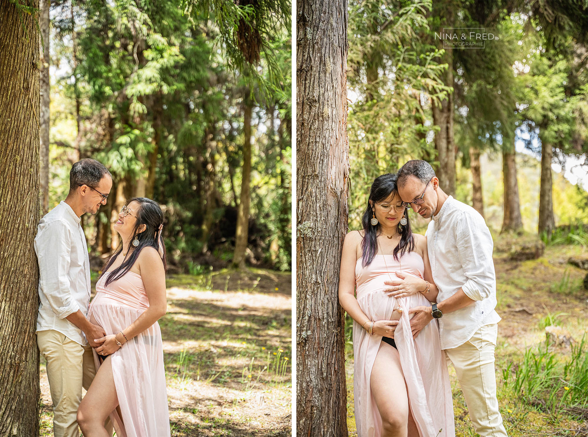 photos de grossesse forêt de cryptomérias 974 N&D-24